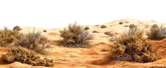 arid, desert, landscape, cut out, shrub, sand, dune, isolated, terrain, dry, flora, barren, land, vegetation, untouched, natural, habitat, scenery, outdoors, wilderness, climate, environment, nature, 
