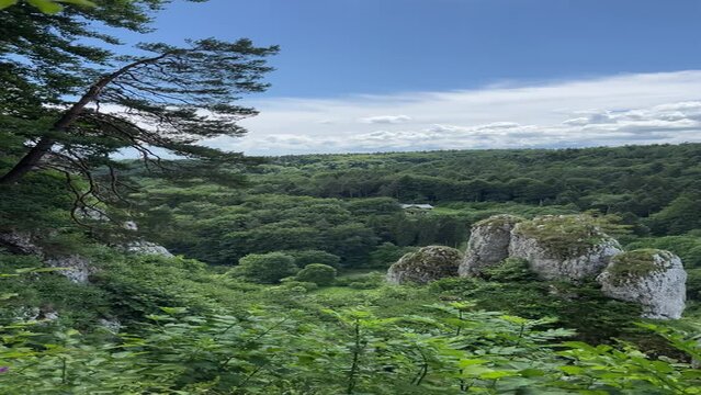 A panoramic view on Skala Biala Reka (the White Hand rock) in the Ojcow National Park (Ojcowski Park Narodowy) near Krakow, Lesser Poland, Poland. Tatra mountains. "Rękawica" rock in summer, vertical 
