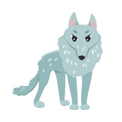 Cute grey forest wolf. Wild forest fauna, furry animal cartoon vector illustration