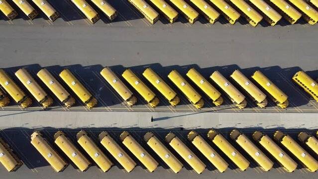 Aerial view of school buses