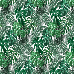 White background with green leaves.Vector seamless pattern with palm green leaves on a white background.