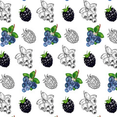 White background with berries.Vector seamless pattern with colored and contour berries on a white background.