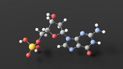 deoxyguanosine monophosphate molecule 3d, molecular structure, ball and stick model, structural chemical formula deoxyguanylic acid