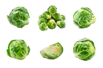 Fototapeta premium Brussels sprouts Collection Bundle Set Isolated on a Transparent Background