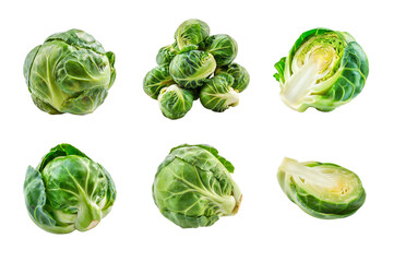 Brussels sprouts Collection Bundle Set Isolated on a Transparent Background