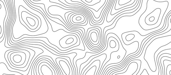 Obraz premium White topology and topography vector design abstract background contour map texture for print works