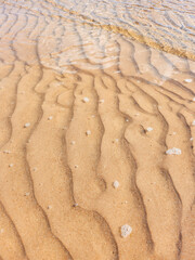 Rippled Sands and Shallow Waters. A serene beach scene capturing the intricate patterns of rippled sands under clear, shallow waters. Ideal for backgrounds or nature-themed designs