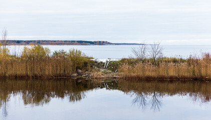 Panoramic natural background photo with cloudy sky and bare trees