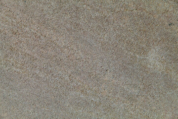 Texture of natural shell rock as a background.