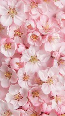 Beautiful spring apple blossoms on a pastel background, shown from a top view with copy space for text.