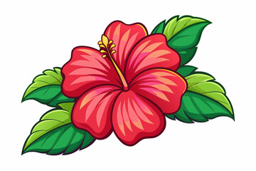 hibiscus flower vector illustration