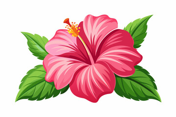 hibiscus flower vector illustration