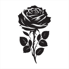 A beautiful flower design vector art illustrator