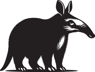 Aardvark illustration vector