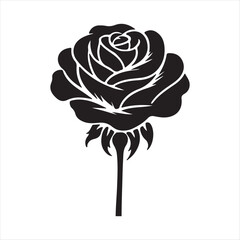 A beautiful flower design vector art illustrator