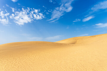 Maspalomas Dunes Nature Reserve in a sunny day. Grand Canary. Spain.
