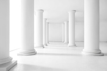 White Columns in a White Room