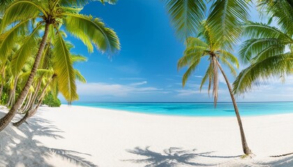 A beautiful beach with palm trees and a clear blue sky