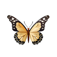 Obraz premium High-Quality PNG Transparent Butterfly Image for Design Projects