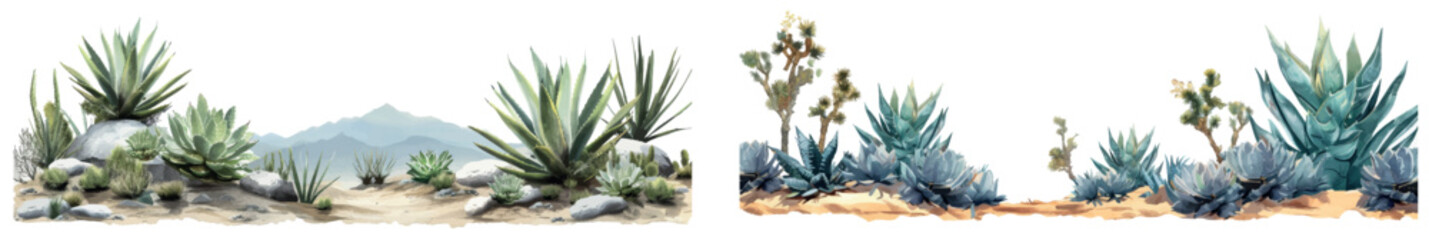 A set of spikey agaves, showing off their drought-resistant features, isolated on transparent background.