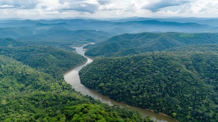 Fototapeta premium an aerial view showcasing a flowing river amidst lush tropical rainforest, flanked by verdant green mountains under a vast sky, presenting a serene landscape panorama.
