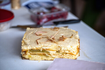 Rhubarb cake with whipped cream topping. Shallow depth of feld