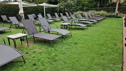 Row of Lounge Chairs on Grass