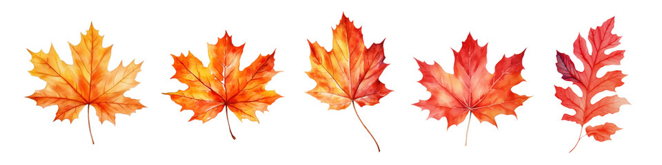 Obraz premium Watercolor autumn leaves set