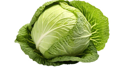 Obraz premium Photograph of a sliced cabbage, showing its intricate layers and vibrant green color