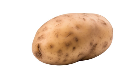 Photograph of a single Russet potato,