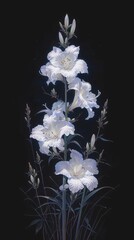 White lilies blooming on a dark background