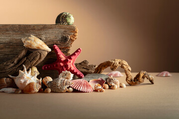 Abstract nature scene with a composition of seashell, starfish, and snags on a beige background.