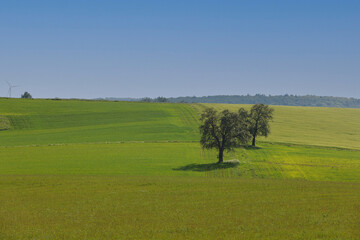 Landscape in Hohenlohe near Ravenstein in Baden-Wuerttemberg, Germany, Europe