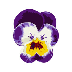 Color Pansies Isolated, Tricolor Viola Close up, Viola Flowers Set, Heartsease Collection, Johnny Jump up or Three Faces in a Hood Flower, Vector Illustration