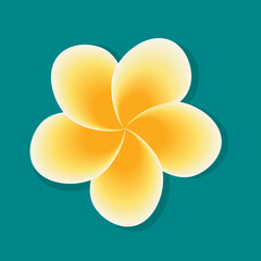Plumeria flower with drop shadow on ocean green background. Vector illustration.