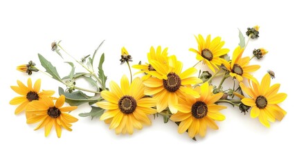 Naklejka premium Yellow daisies arranged in an attractive bunch against a white backdrop
