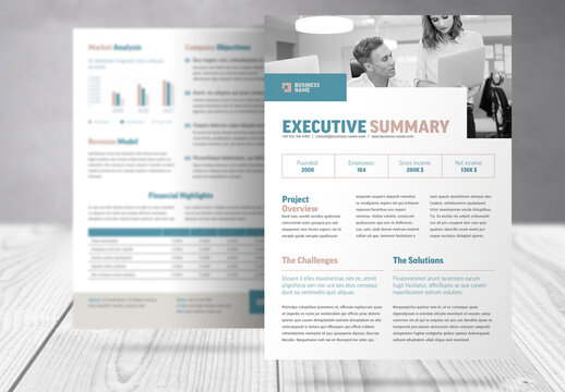 Business Executive Summary Report Template