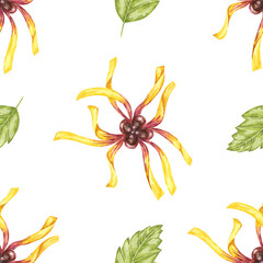 Witch hazel vibrant floral textile, cosmetics packaging clipart. Yellow hamamelis flowers seamless pattern. Watercolor print for kitchen, curtains, home textile, herbal medicine, natural remedy labels