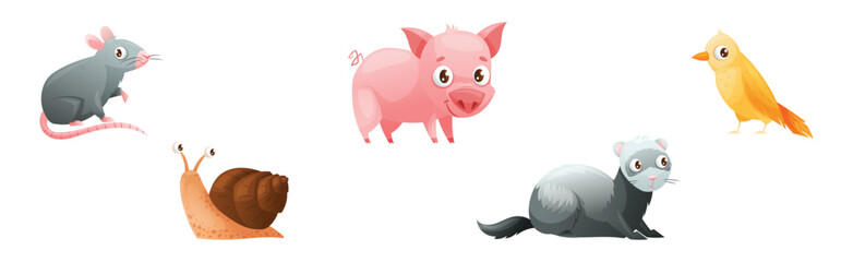 Cute Home Pet Animal with Rat, Pig, Snail, Bird and Ferret Vector Set
