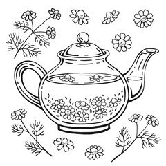 Glass teapot, chamomile. Hand drawn vector illustration in outline style.