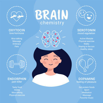 Brain biochemistry. Scheme of happiness hormones oxytocin, serotonin, dopamine, endorphin