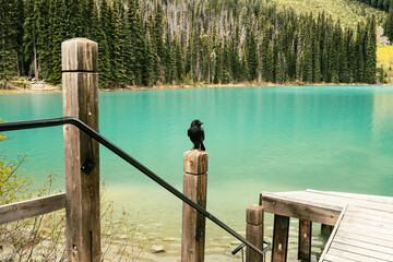 Obraz premium Emerald Lake in Kanada: Smaragdgrünes Wasser und majestätische Berge