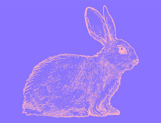 Hand Drawn Sketch Rabbit for Your Design. Psychedelic bunny