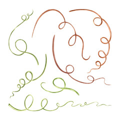 Green tendrils hanging Pumpkin and vine plant, liana creeper. Set of hand drawn watercolor botanical illustration. Isolated whip of malt hop. Clip art for sticker, brewing, wedding, invitation, card. © susie_p_art