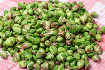 Close-up of caper buds ready to be prepared with salt