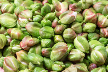 Close-up of caper buds ready to be prepared with salt