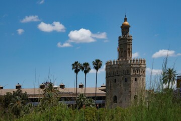 Obraz premium torre del oro in Seville behind green grass area