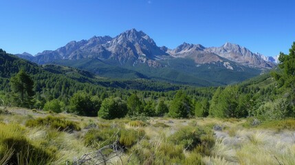 Obraz premium Scenic mountain range with a clear blue sky