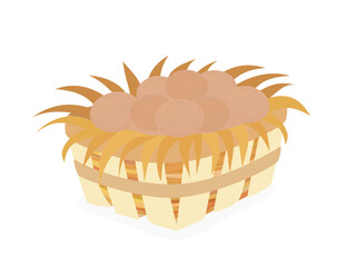 Eggs on a white background.