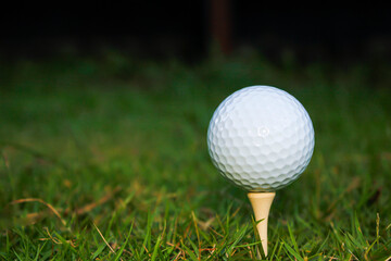 Golf ball set on tee. Dark background.